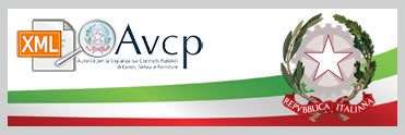 AVCP XML