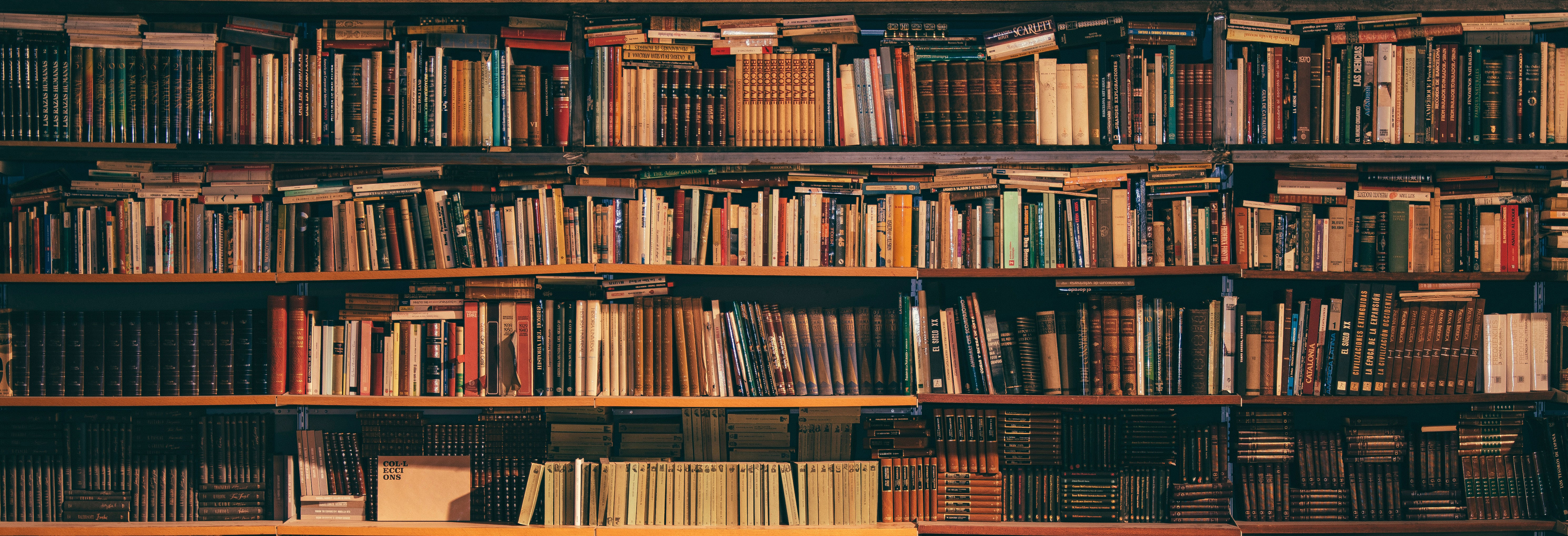 library bookshelf full